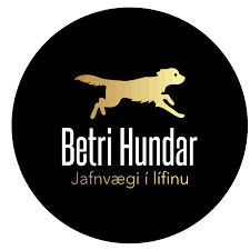 Betri hundar